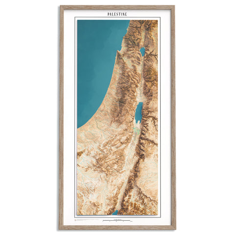 Palestine, Elevation map - satellite, 2D printed shaded relief map with 3D effect realized by Vizart in 2024. Shop our beautiful fine art printed maps on supreme Cotton paper. Vintage maps digitally restored and enhanced with a 3D effect.