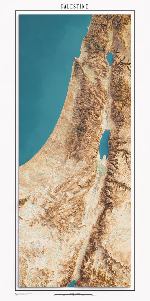 Palestine, Elevation map - satellite, 2D printed shaded relief map with 3D effect realized by Vizart in 2024. Shop our beautiful fine art printed maps on supreme Cotton paper. Vintage maps digitally restored and enhanced with a 3D effect.