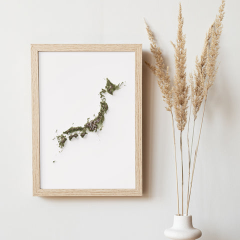 Japan, Elevation tint - Geo, 2D printed shaded relief map with 3D effect of Japan with geo hypsometric tint. Shop our beautiful fine art printed maps on supreme Cotton paper. Vintage maps digitally restored and enhanced with a 3D effect. VizCart from Vizart