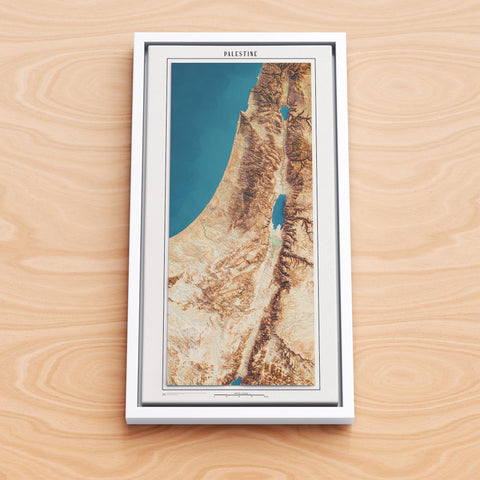 Palestine, Elevation map - satellite, 2D printed shaded relief map with 3D effect realized by Vizart in 2024. Shop our beautiful fine art printed maps on supreme Cotton paper. Vintage maps digitally restored and enhanced with a 3D effect.
