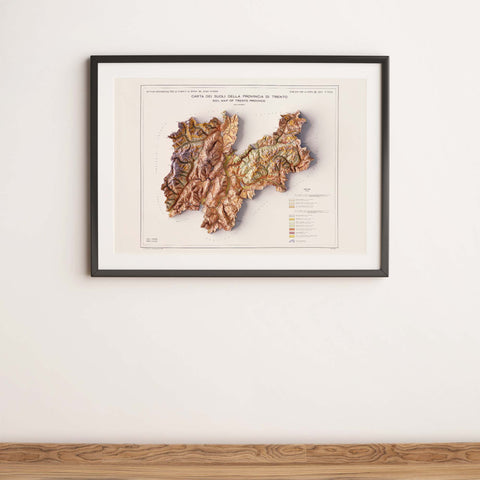 Trentino (Italy), Soil map - 1965, 2D printed shaded relief map with 3D effect of a 1965 soil map of Trentino (Italy). Shop our beautiful fine art printed maps on supreme Cotton paper. Vintage maps digitally restored and enhanced with a 3D effect. VizCart from Vizart