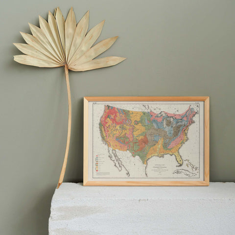 1874 United States of America restored vintage geological map reprinted on fine art paper. VizCart from VizArt.