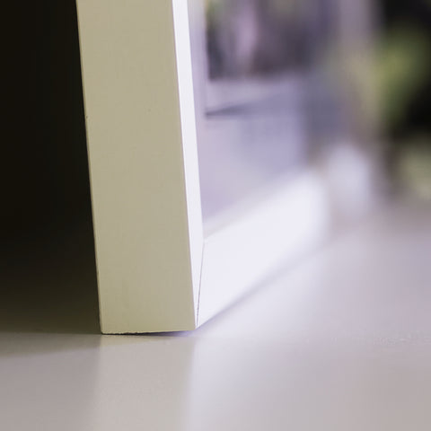 Detail of the white frame material on VizCart map