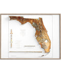 Florida, Geological map - 1929, 2D printed shaded relief map with 3D effect of a 1929 geologic map of Florida (USA). Shop our beautiful fine art printed maps on supreme Cotton paper. Vintage maps digitally restored and enhanced with a 3D effect. VizCart from Vizart