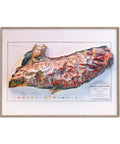 Mt Blanc, Geological map - 1898, 2D printed shaded relief map with 3D effect of a 1898 geological map of Mt Blanc. Shop our beautiful fine art printed maps on supreme Cotton paper. Vintage maps digitally restored and enhanced with a 3D effect. VizCart from Vizart