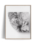 Namib Desert (Namibia), Elevation tint - White, 2D printed shaded relief map with 3D effect of Namib desert (Namibia) with monochrome white tint. Shop our beautiful fine art printed maps on supreme Cotton paper. Vintage maps digitally restored and enhanced with a 3D effect., VizCart from Vizart