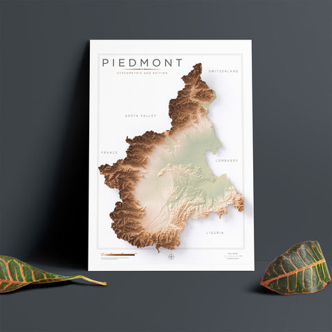 Piedmont (Italy) geo shaded relief elevation map printed on fine art paper wall decor
