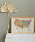 1874 United States of America restored vintage geological map reprinted on fine art paper. VizCart from VizArt.