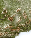 Ireland shaded relief elevation tint map (GEO) print with 3D effect fine art wall decor. VizCart from Vizart.