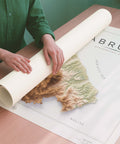 Abruzzo (Italy) geo shaded relief elevation map printed on fine art paper rolled poster ready for shipping