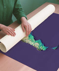 Argentina viridis shaded relief elevation map printed on fine art paper rolled poster ready for shipping