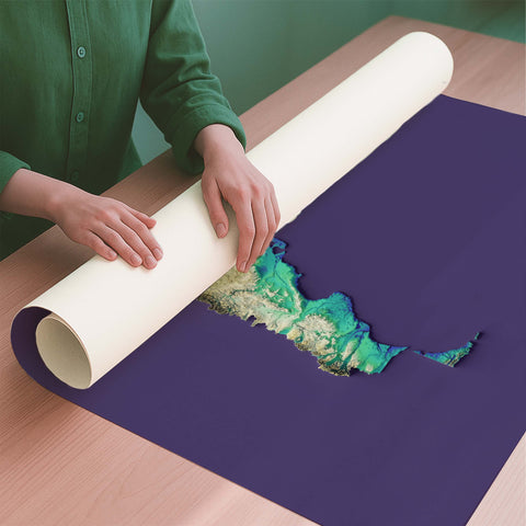 Argentina viridis shaded relief elevation map printed on fine art paper rolled poster ready for shipping
