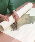 Colombia geo shaded relief elevation map printed on fine art paper rolled poster ready for shipping