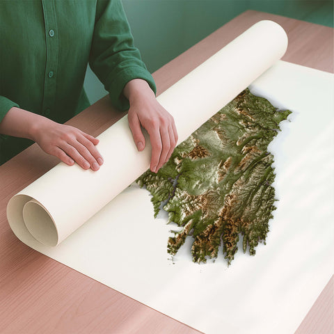 Ireland shaded relief elevation tint map (GEO) print with 3D effect fine art wall decor. VizCart from Vizart.