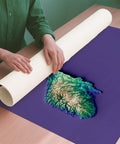 Norway viridis shaded relief elevation map printed on fine art paper rolled poster ready for shipping