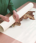 Trentino-Alto Adige (Italy) geo shaded relief elevation map printed on fine art paper rolled poster ready for shipping