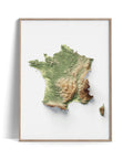 France, Elevation tint - Geo, 2D printed shaded relief map with 3D effect of France with geo elevation tint. Shop our beautiful fine art printed maps on supreme Cotton paper. Vintage maps digitally restored and enhanced with a 3D effect. VizCart from Vizart