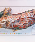 Mt Blanc, Geological map - 1898, 2D printed shaded relief map with 3D effect of a 1898 geological map of Mt Blanc. Shop our beautiful fine art printed maps on supreme Cotton paper. Vintage maps digitally restored and enhanced with a 3D effect., VizCart from Vizart